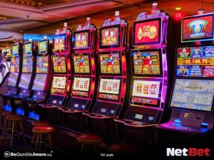 win44|Descubra bingo online com criptomoedas Jogue com PIX